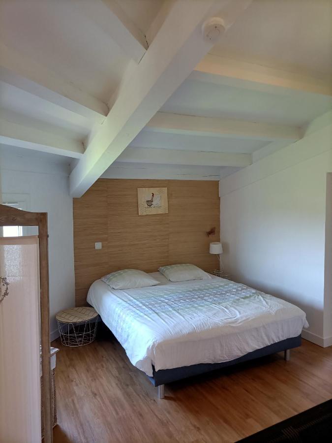 Apartment Calme, Verdure Et Confort! *
